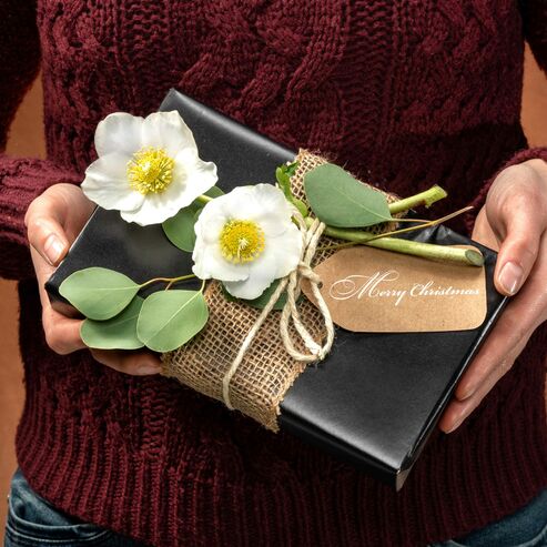 Christmas Roses for seasonal gift wrapping designs