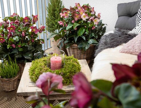 A balcony decorated with Ice N Roses Snow Roses invites you to linger.