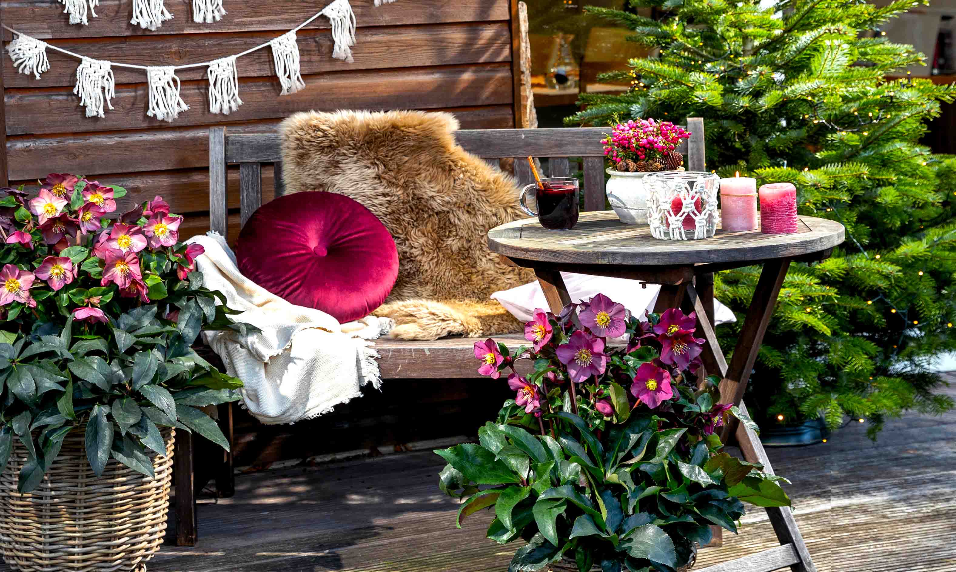 Boho feeling with Ice N’ Roses for terraces and balconies