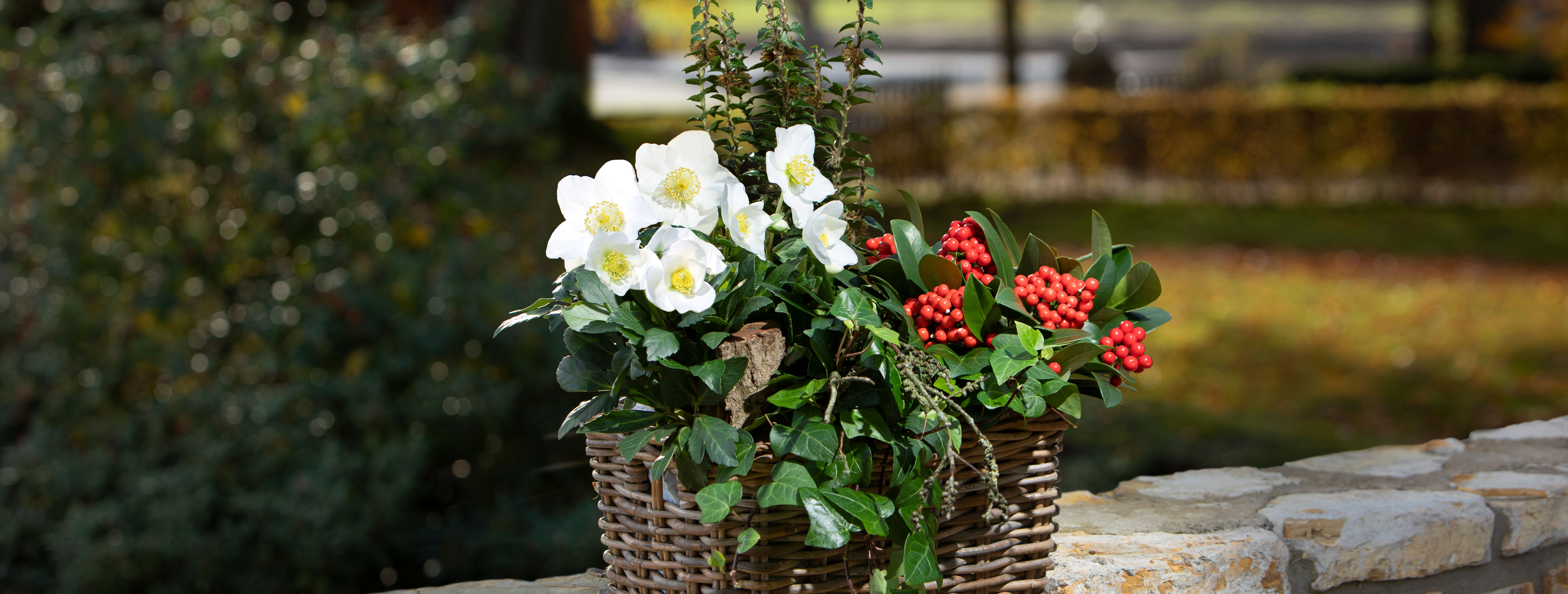 Wicker baskets, either untreated or painted/varnished, go perfectly with the widest range of decorative styles.