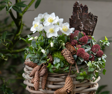 Winter grave decorations