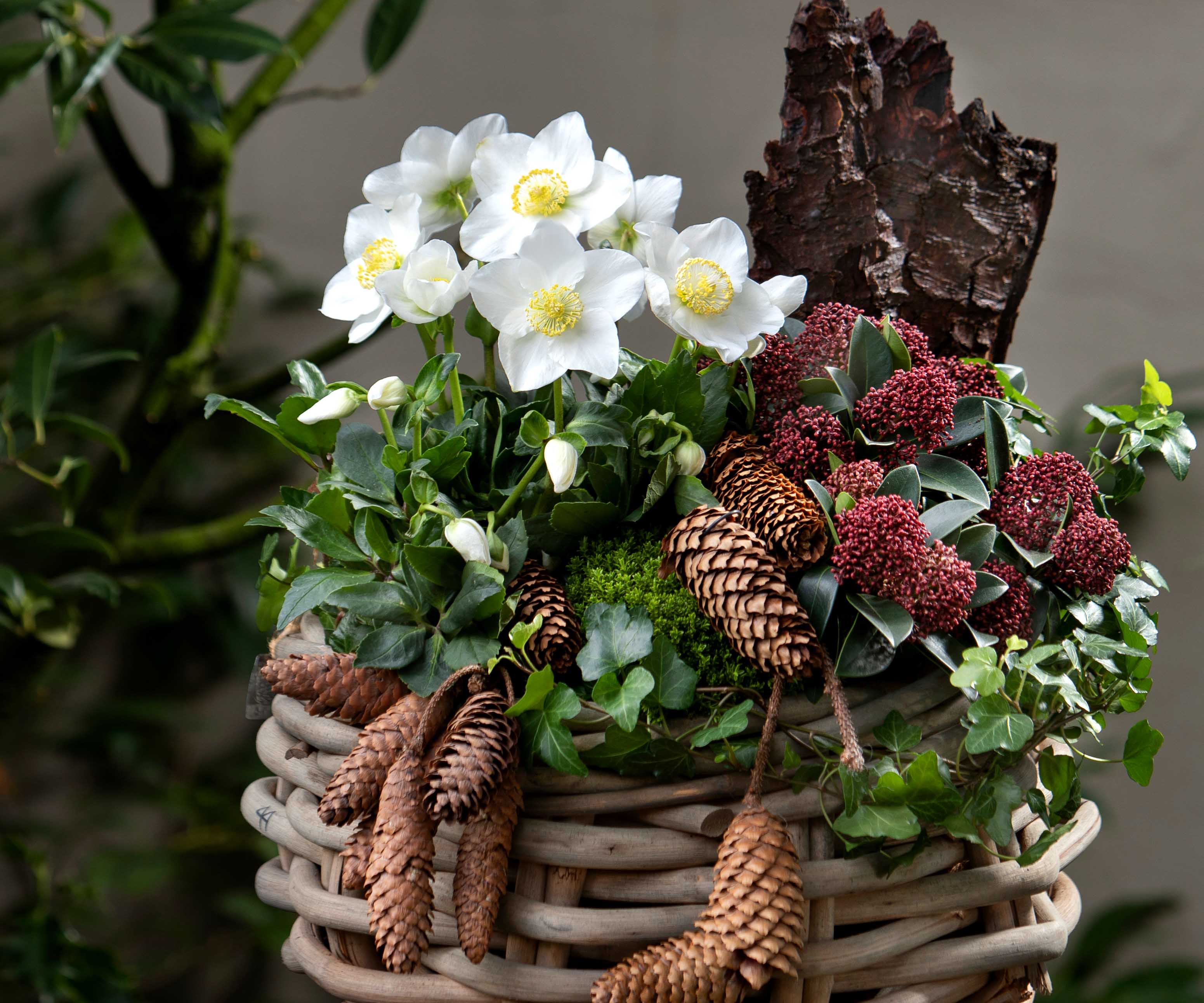 Winter decoration on gravesides