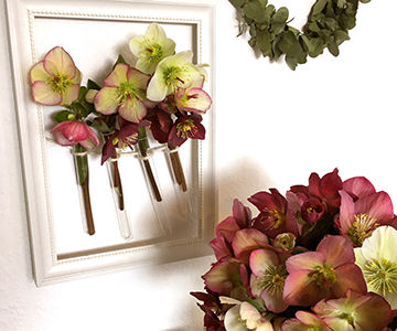 Picture frame vase
